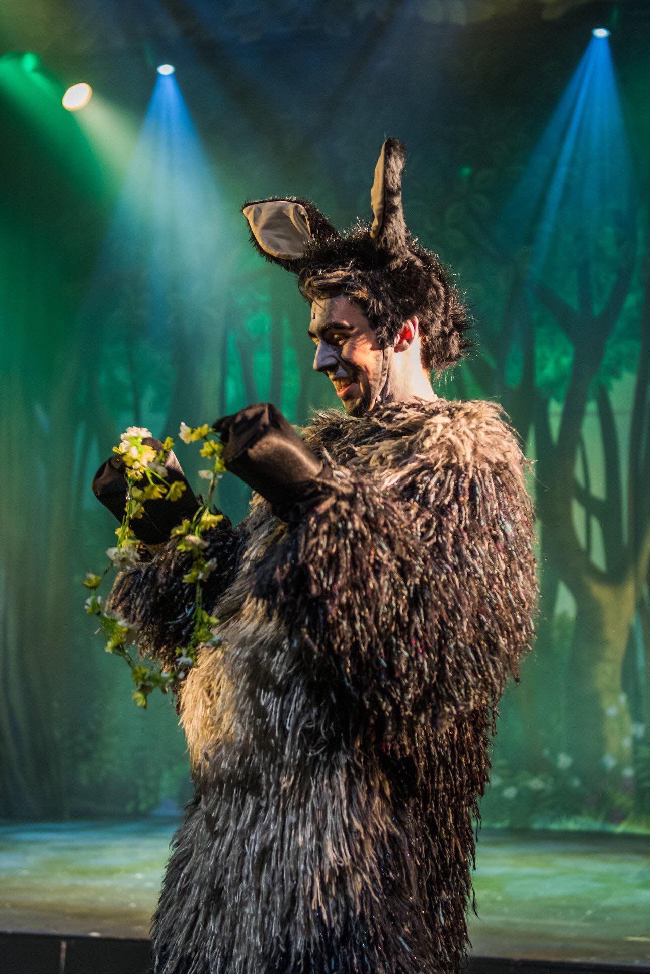 Shrek — image 5