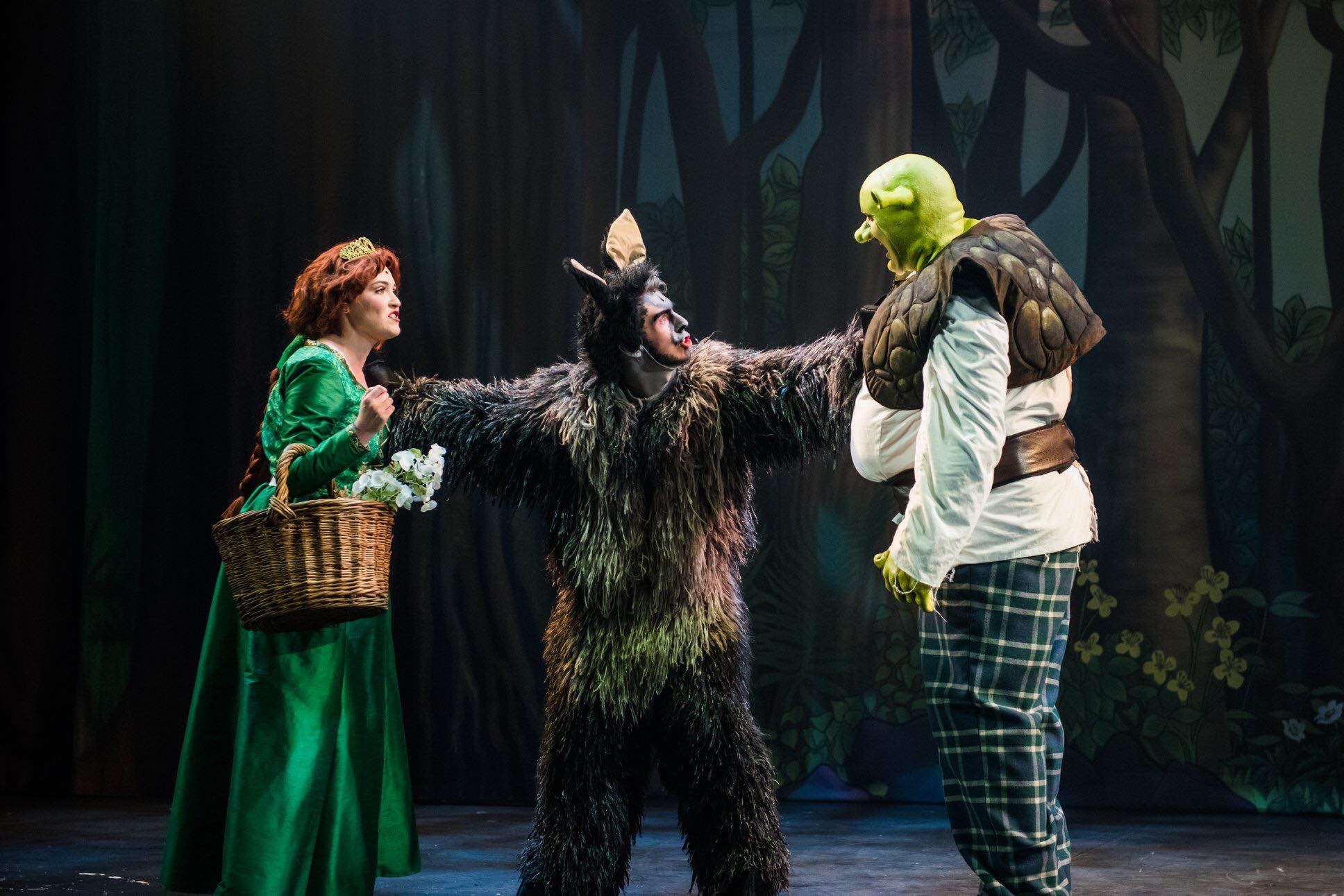 Shrek — image 9