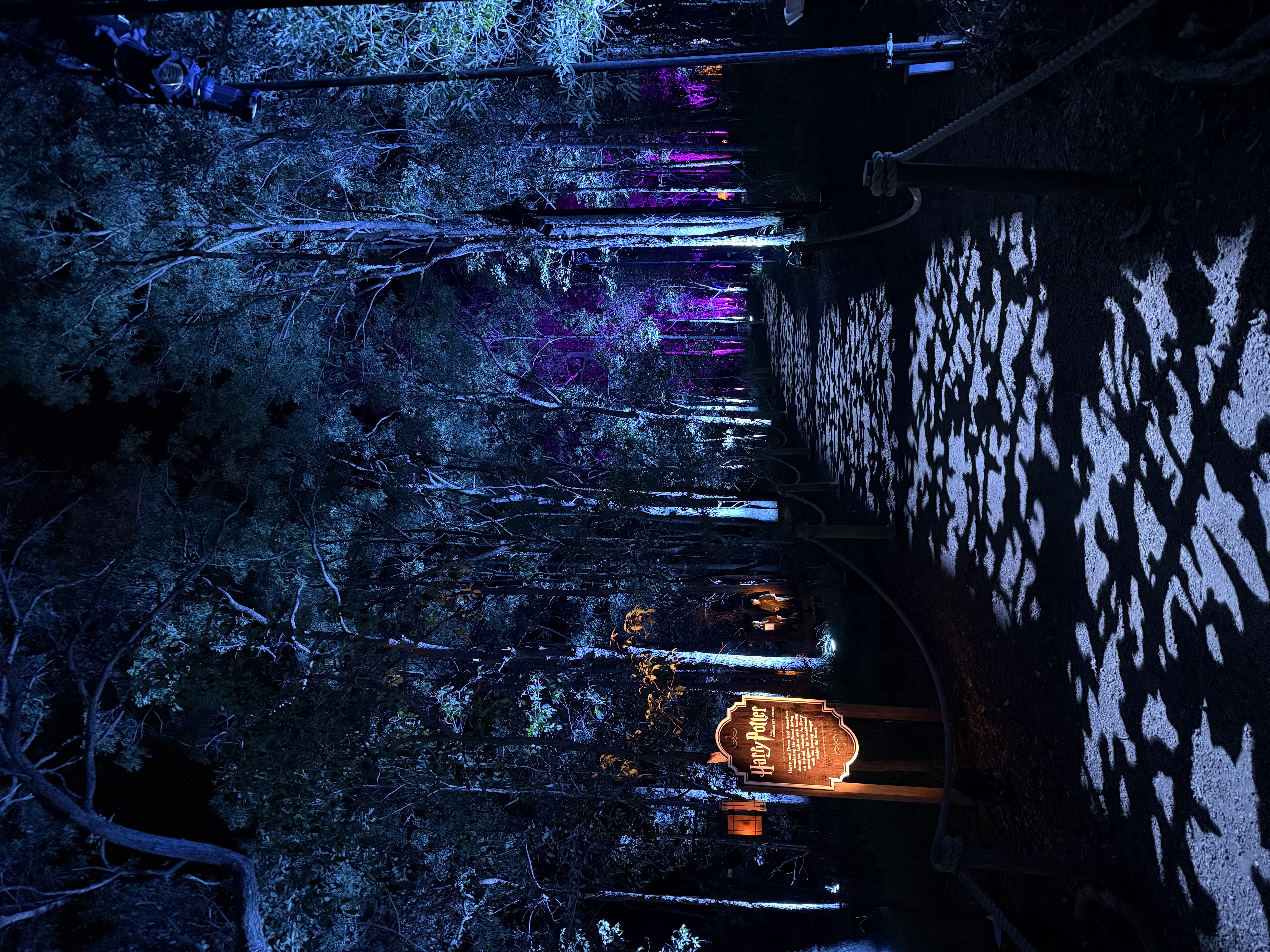 Harry Potter: A Forbidden Forest Experience — image 4