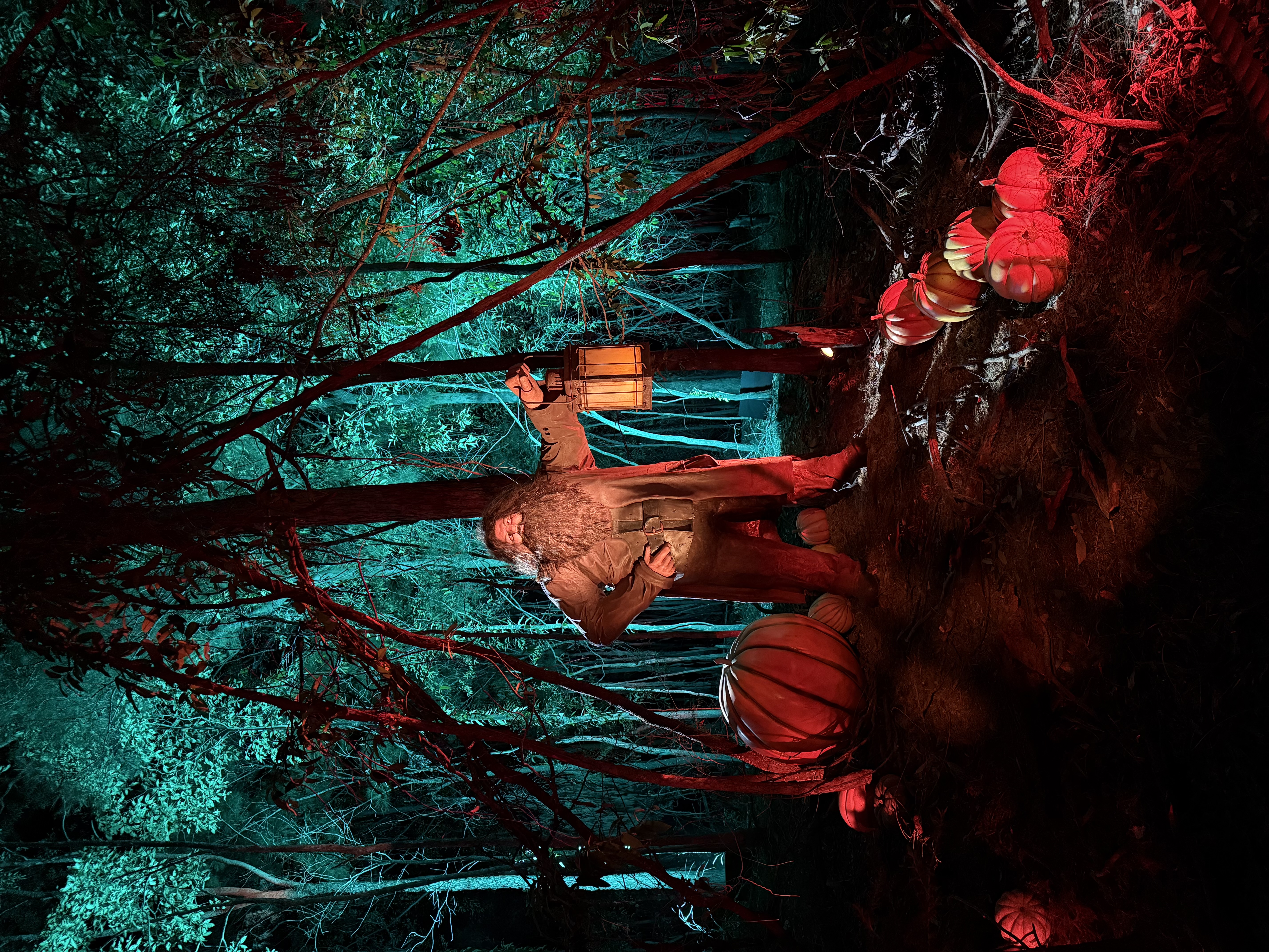 Harry Potter: A Forbidden Forest Experience — image 6