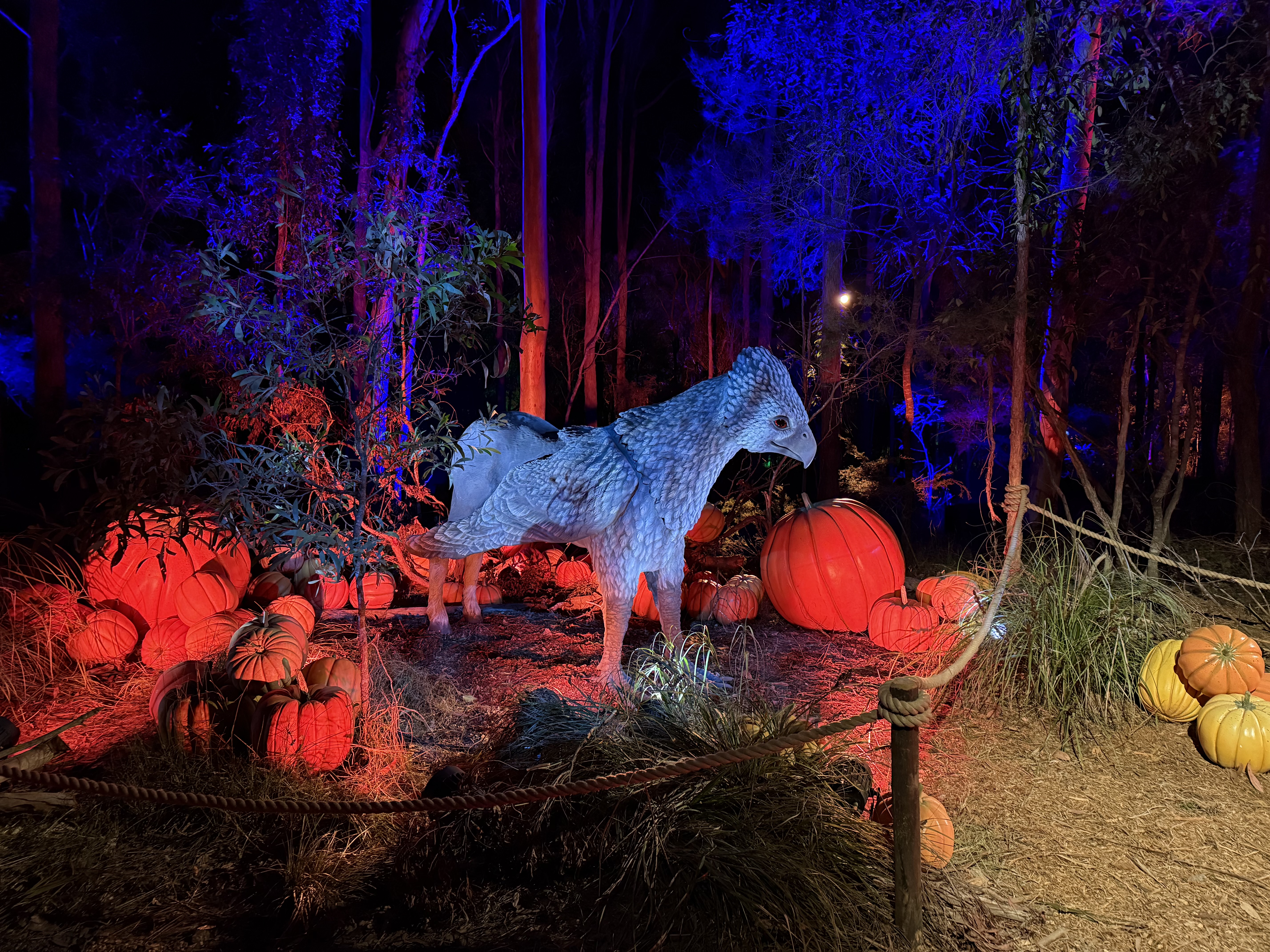 Harry Potter: A Forbidden Forest Experience — image 7