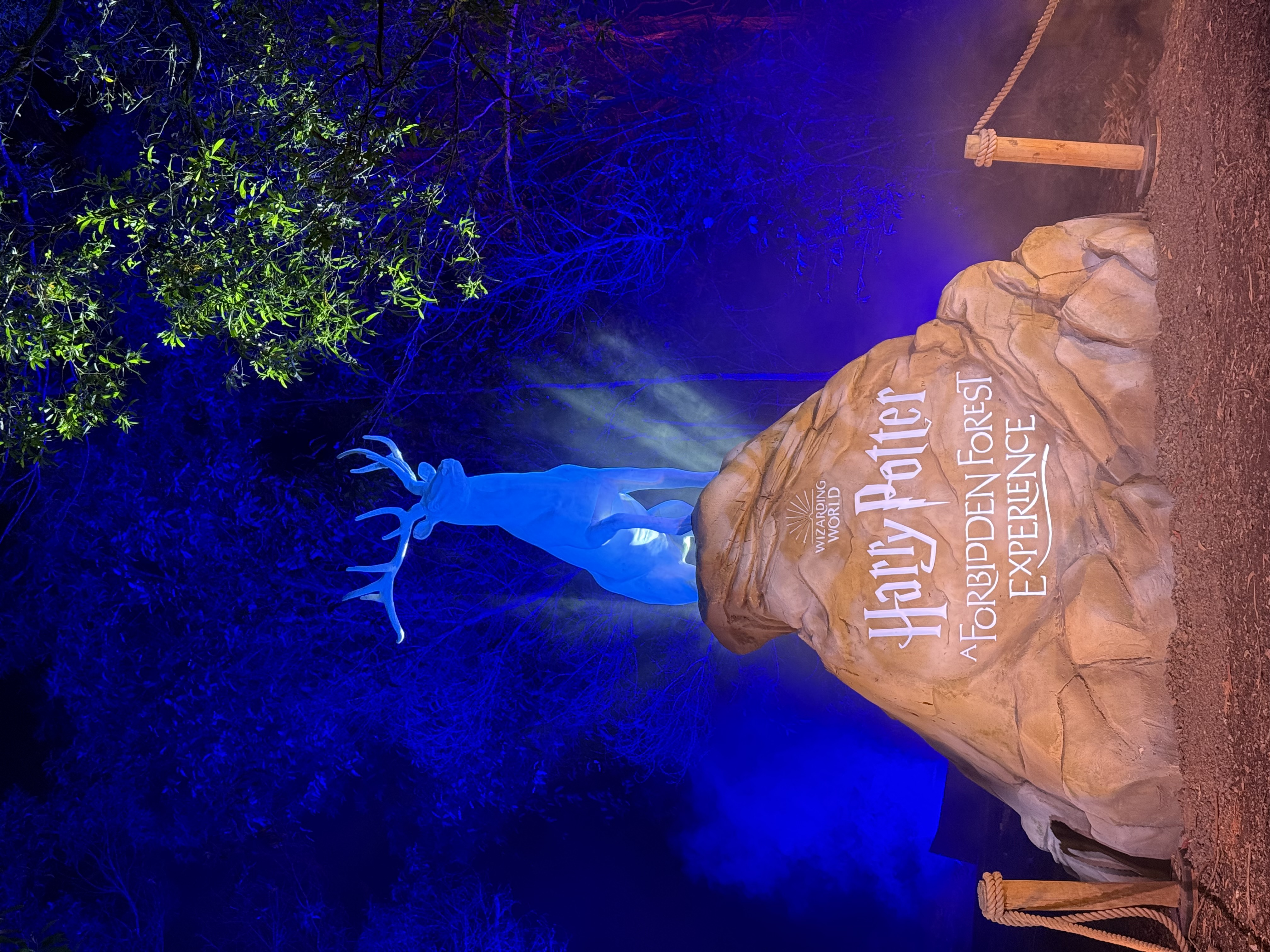 Harry Potter: A Forbidden Forest Experience — image 8