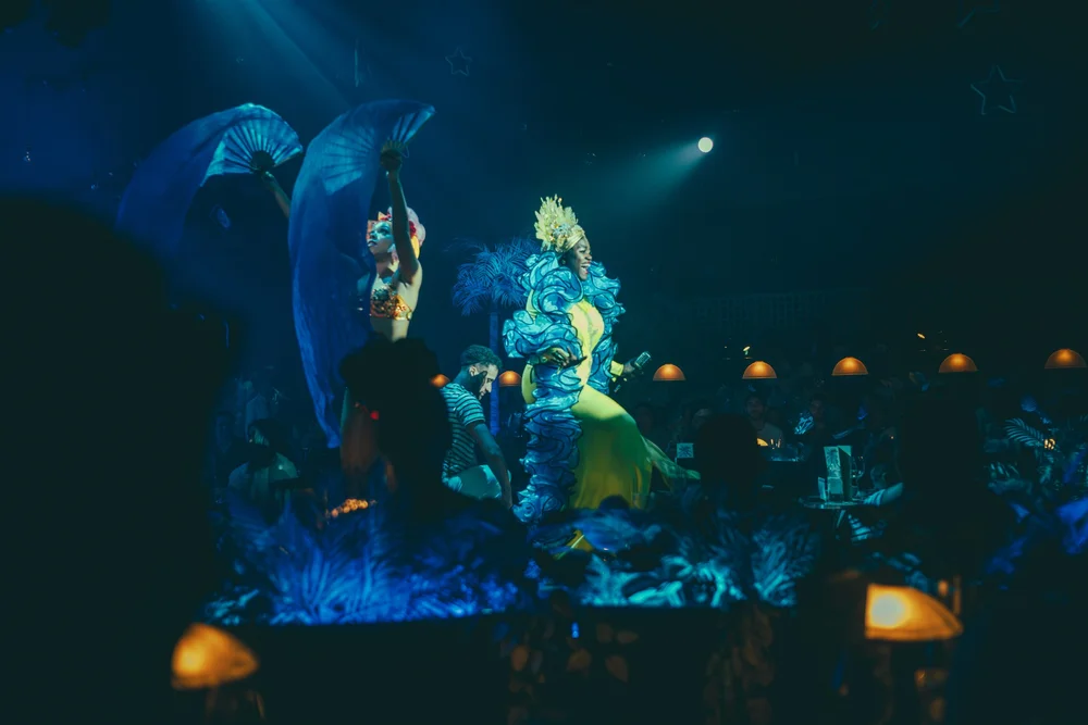 Paradise Under the Stars — image 4